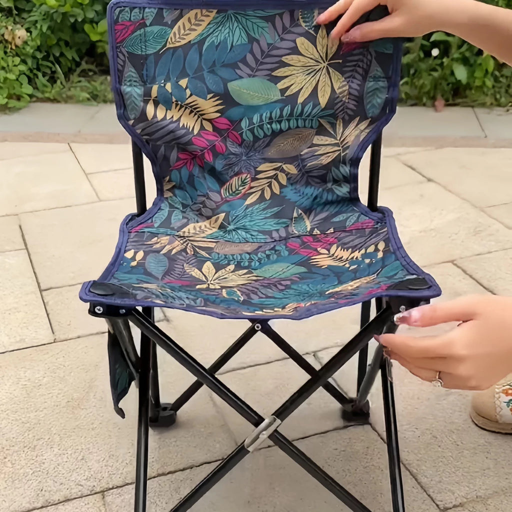 Portable Folding Chair for Cats & Small Pets with Carry Bag