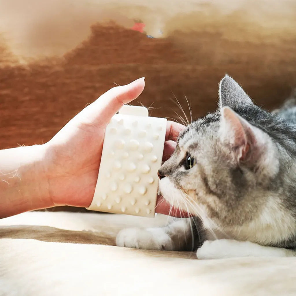 Silicone Pet Grooming Glove for Loose Hair – 2 Colors