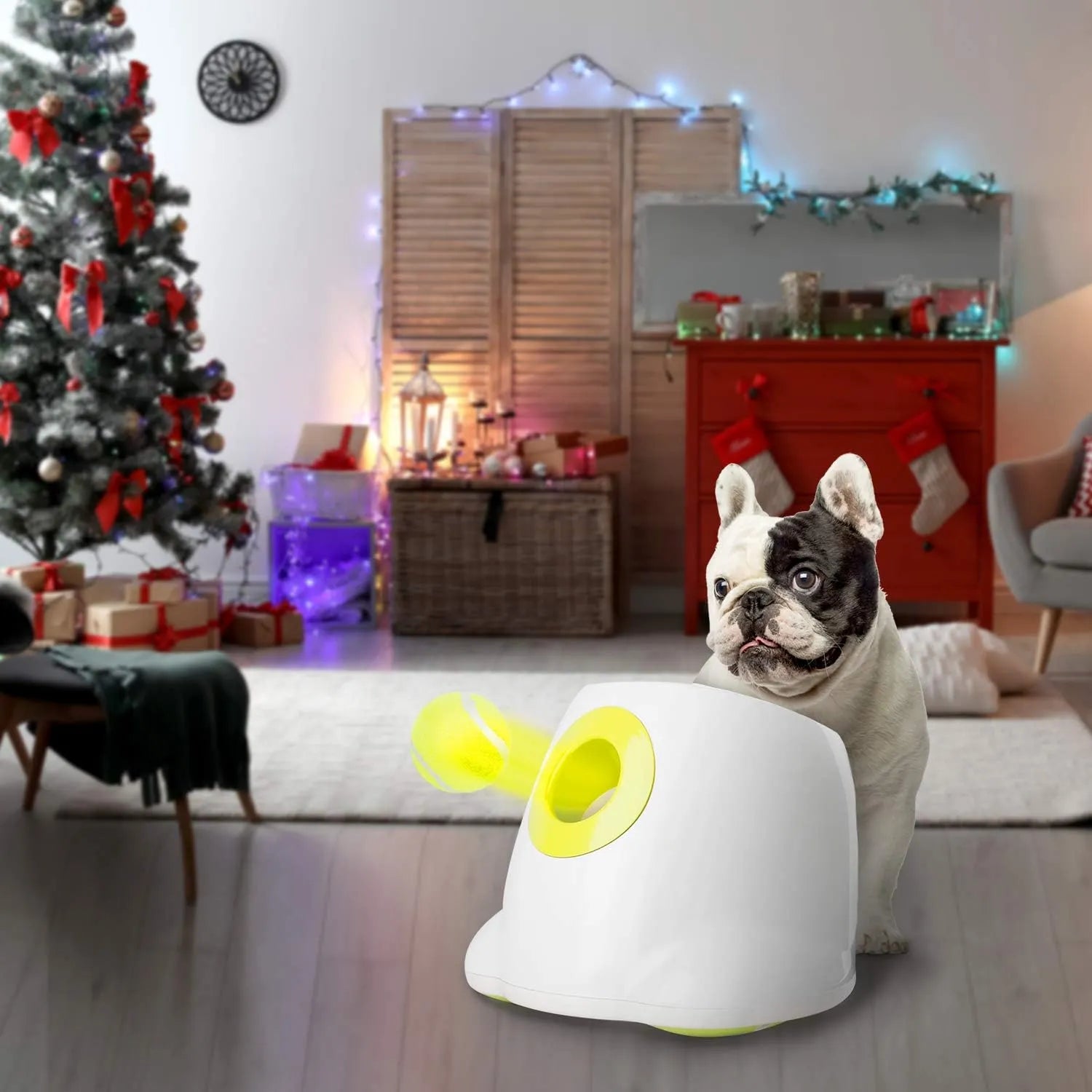 Automatic Dog Ball Launcher for Interactive Fetch