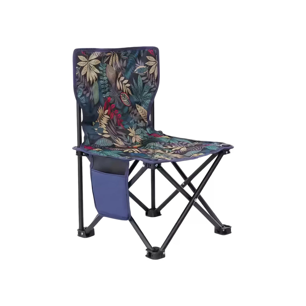 Portable Folding Chair for Cats & Small Pets with Carry Bag