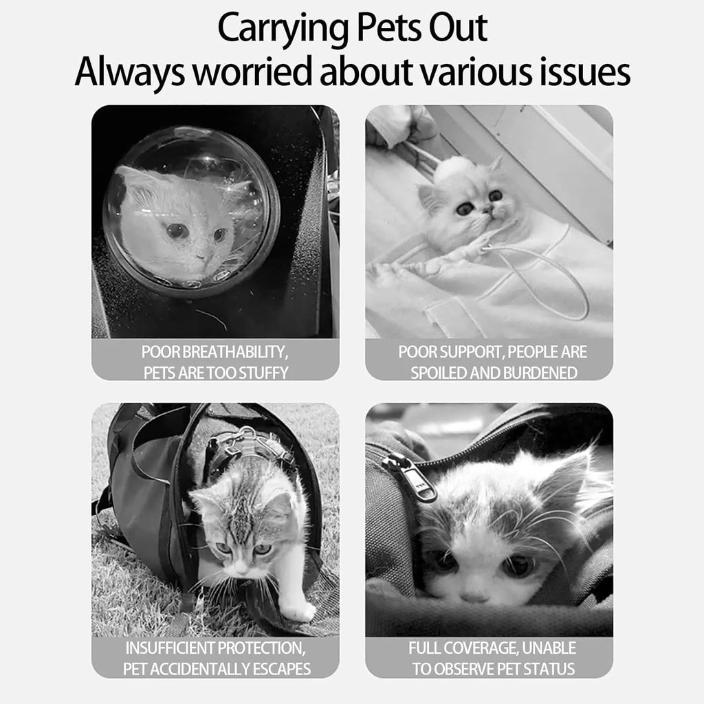Soft-Sided Pet Carrier Tote with Head Opening