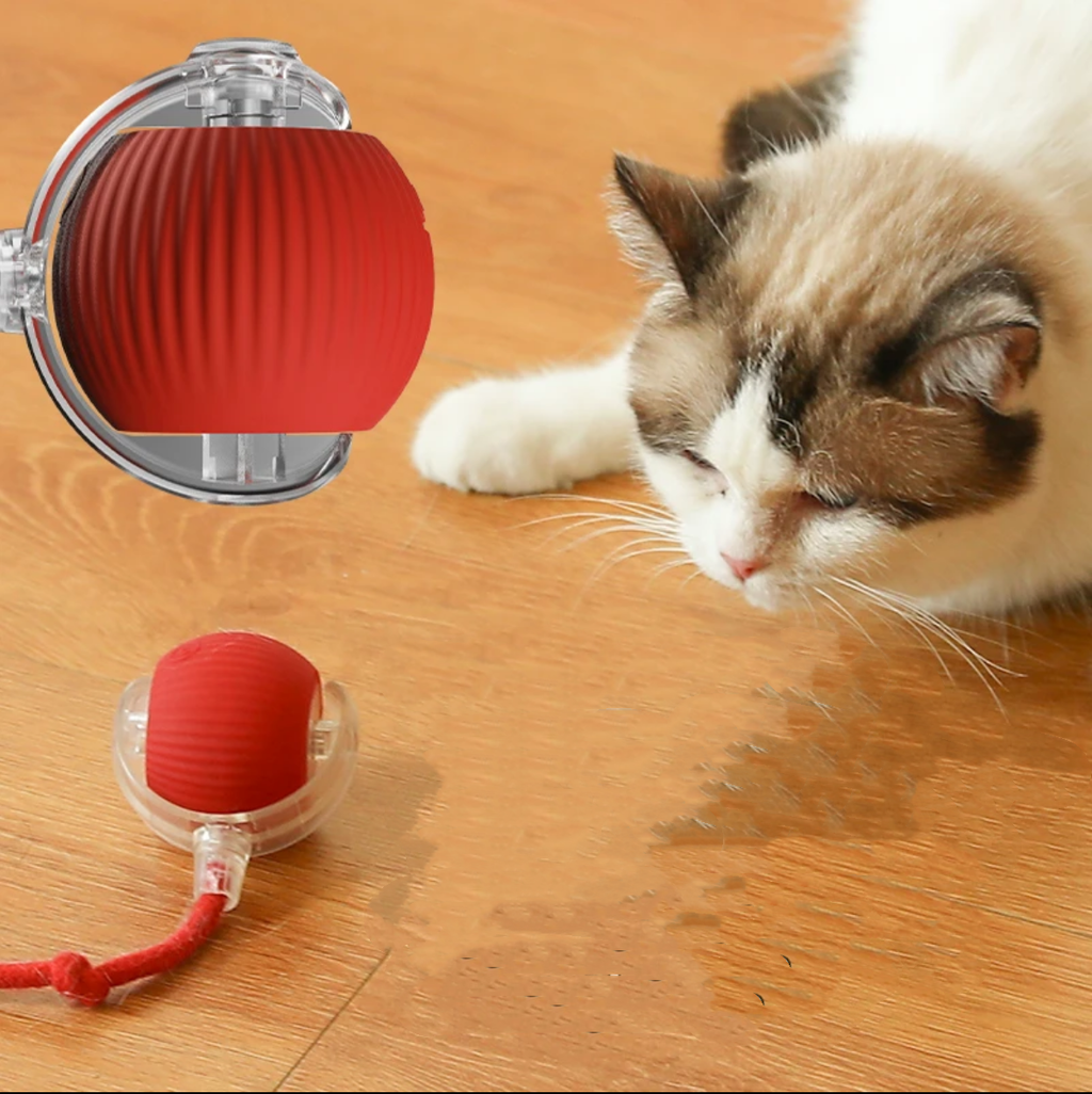 Rechargeable Smart Rolling Pet Ball – 7 Styles