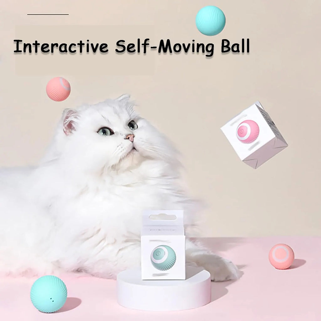 Rechargeable Smart Rolling Pet Ball – 7 Styles