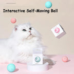 Rechargeable Smart Rolling Pet Ball – 7 Styles