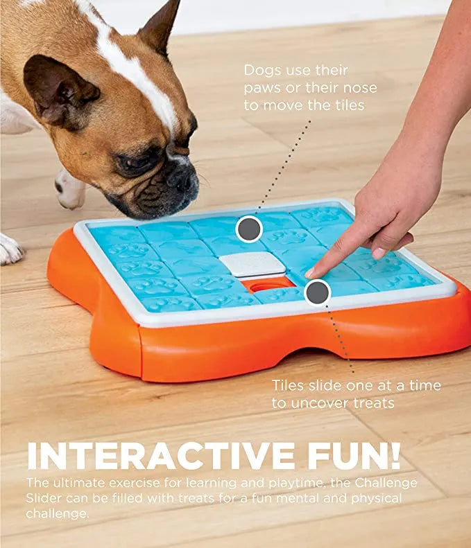 Multi-Activity Dog Treat Puzzle Toy – 2 Designs
