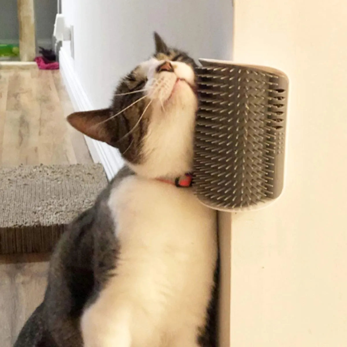 Wall-Corner Self-Grooming Brush for Cats – Single or 3-Color Set