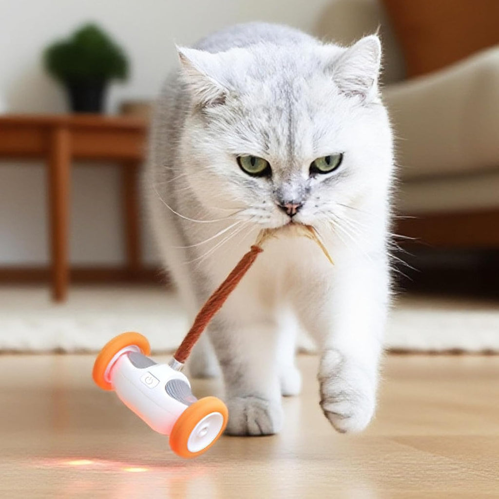 USB-Rechargeable Moving Cat Toy with Tail
