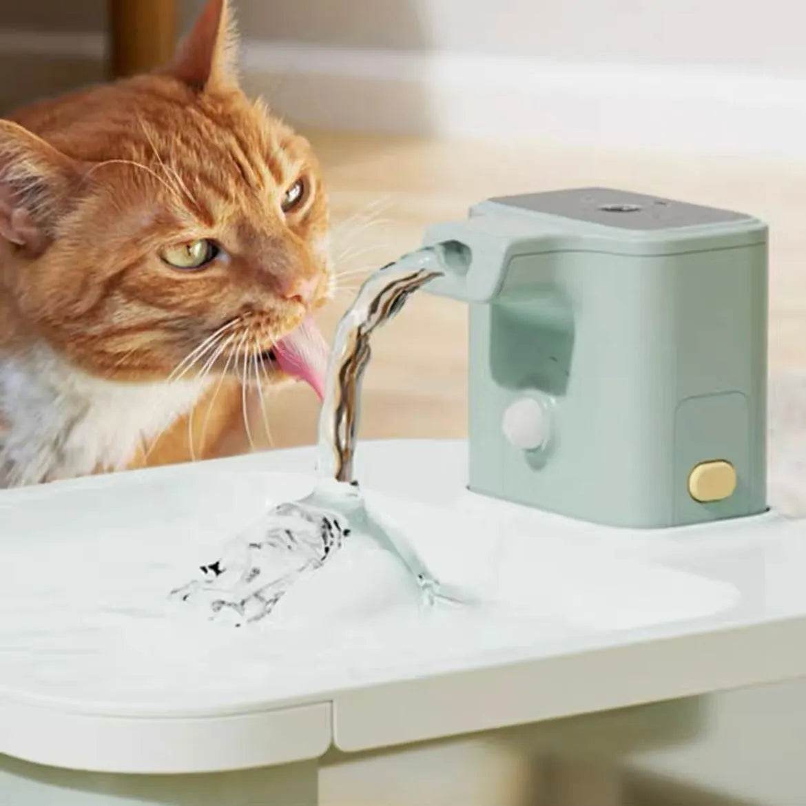 2.5L Smart Pet Water Fountain for Cats