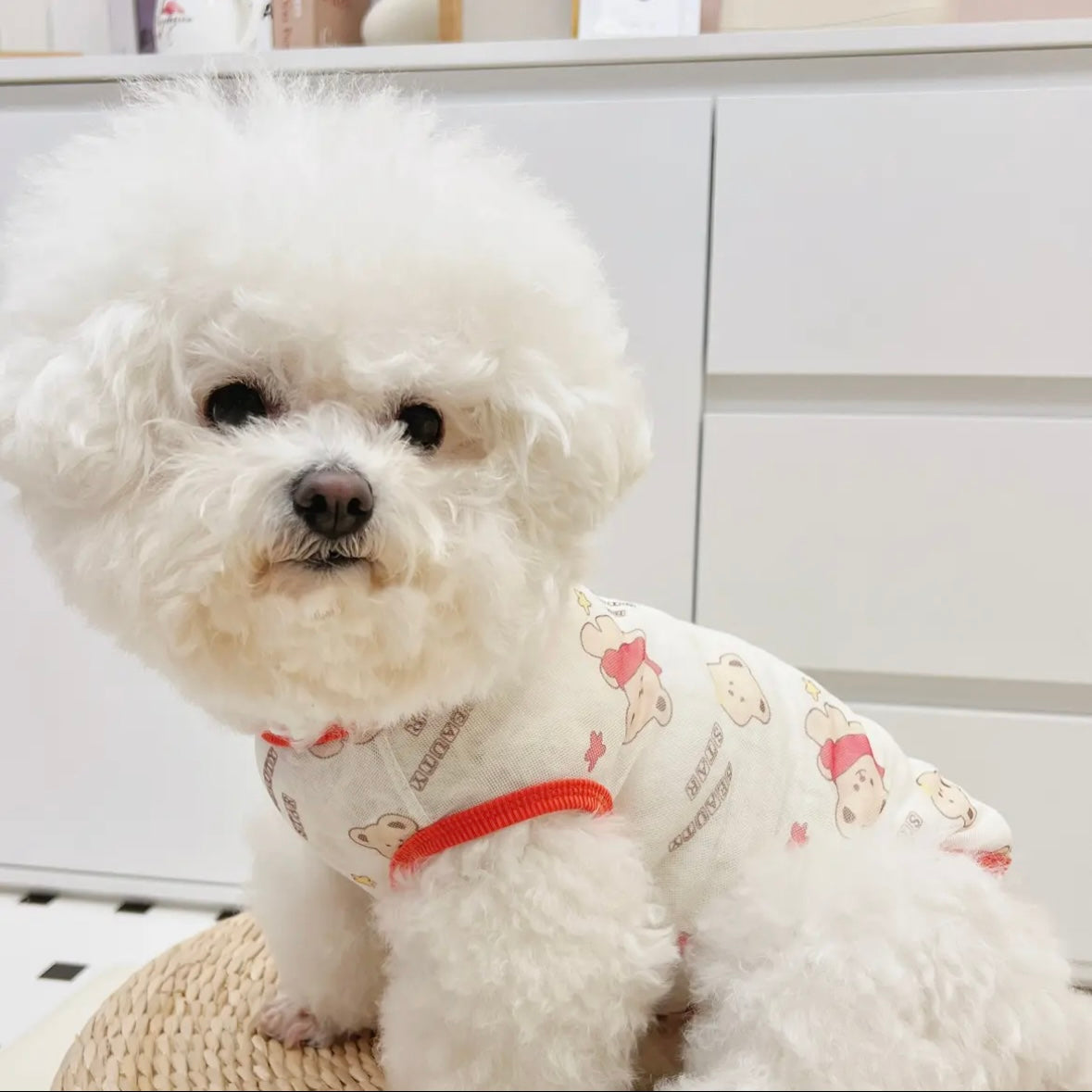 Lightweight Printed T-Shirt for Small Dogs – 10 Styles