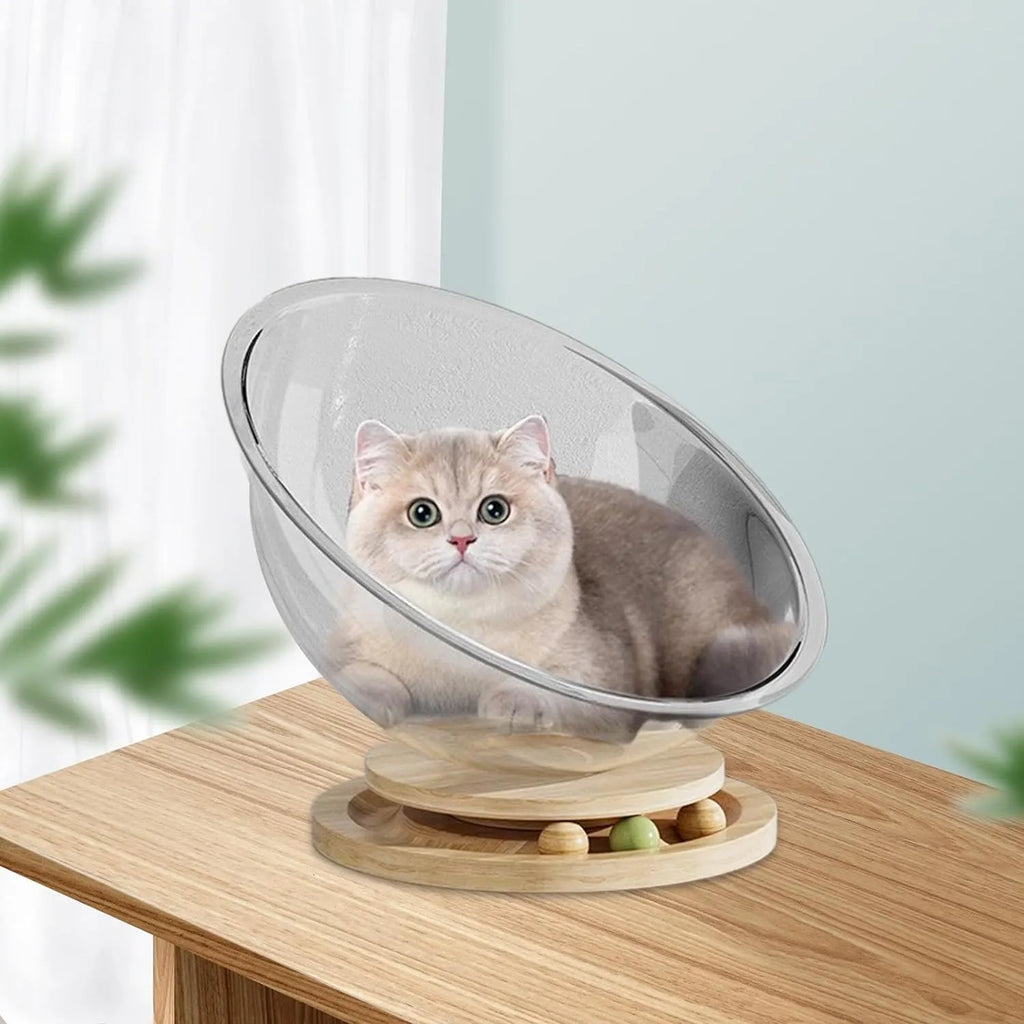 Transparent Space Capsule Cat Bed – 3 Sizes