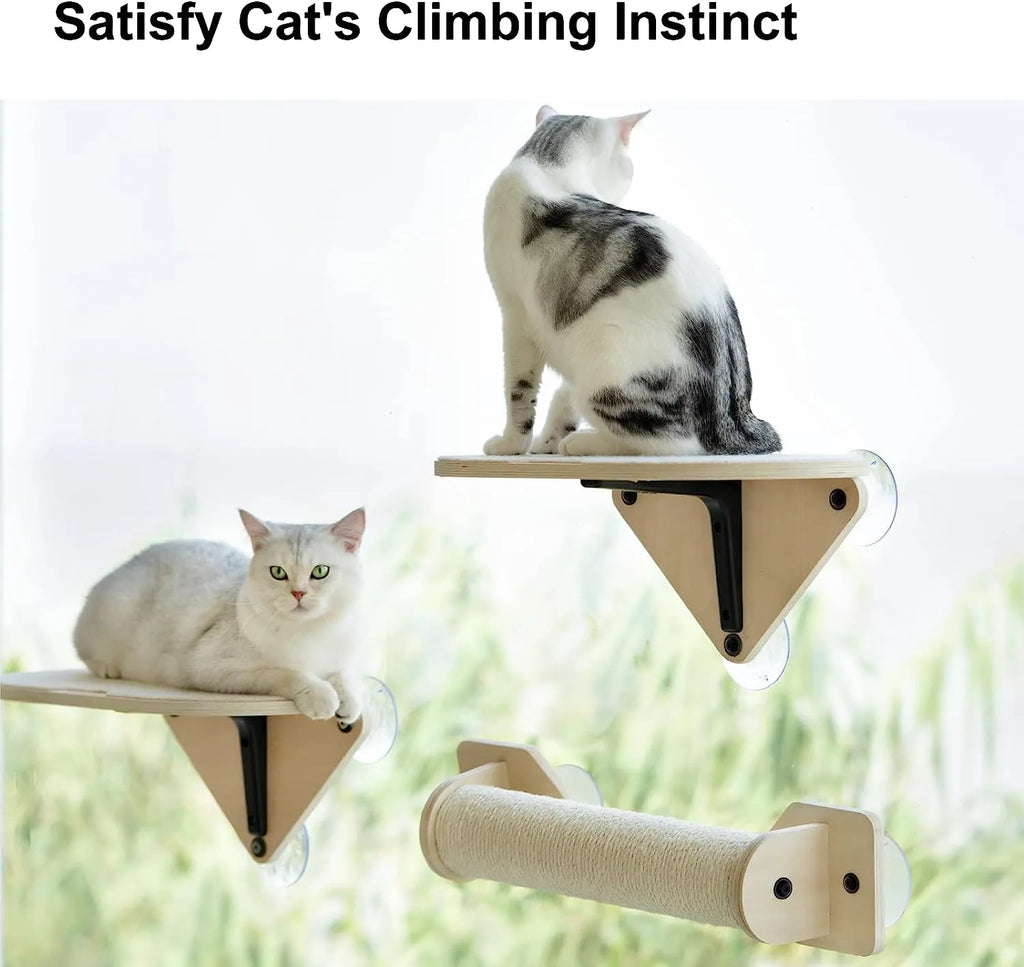 Suction Cup Window Cat Shelves & Scratching Post – 3 Styles