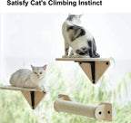 Suction Cup Window Cat Shelves & Scratching Post – 3 Styles