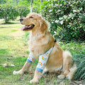 Dog Front-Leg & Elbow Protection Sleeve – 4 Sizes