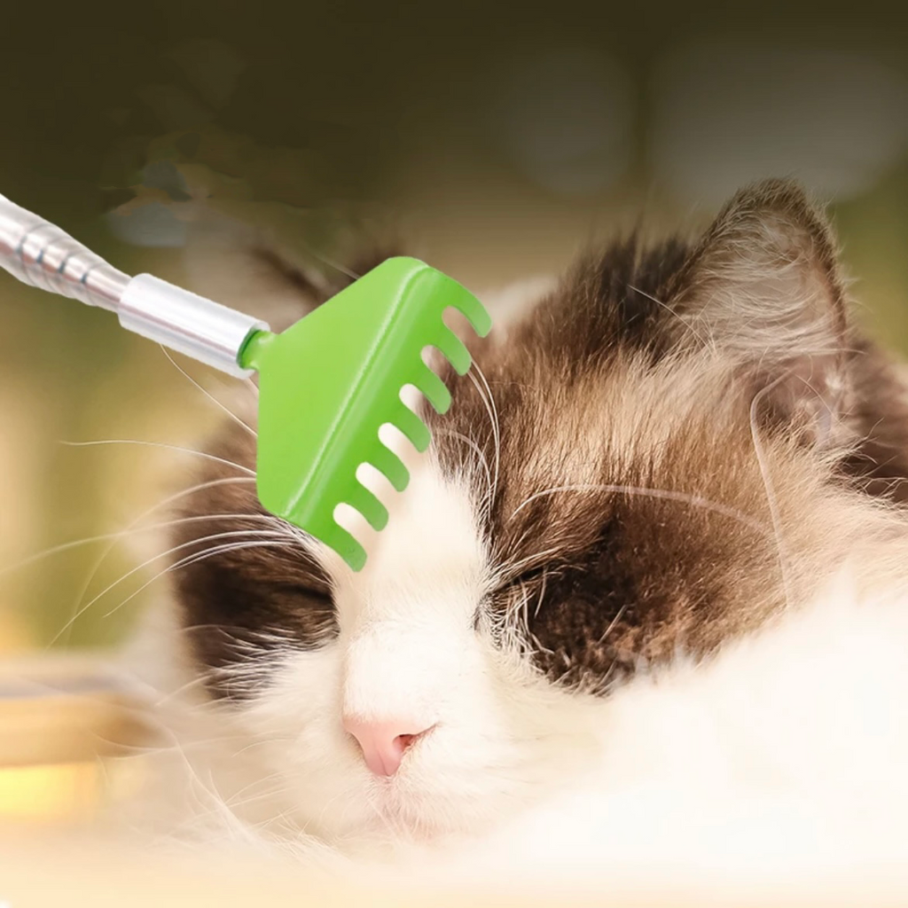 Portable Telescopic Stainless Steel Back Scratcher