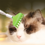Portable Telescopic Stainless Steel Back Scratcher