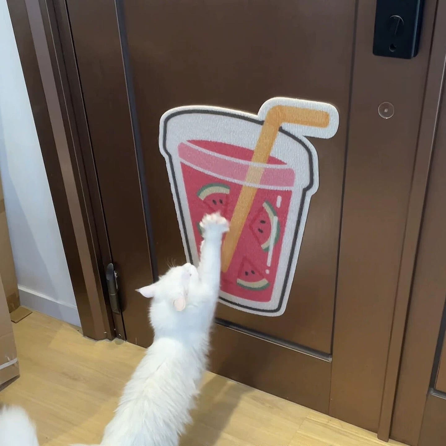 Self-Adhesive Wall-Mounted Cat Scratching Pad