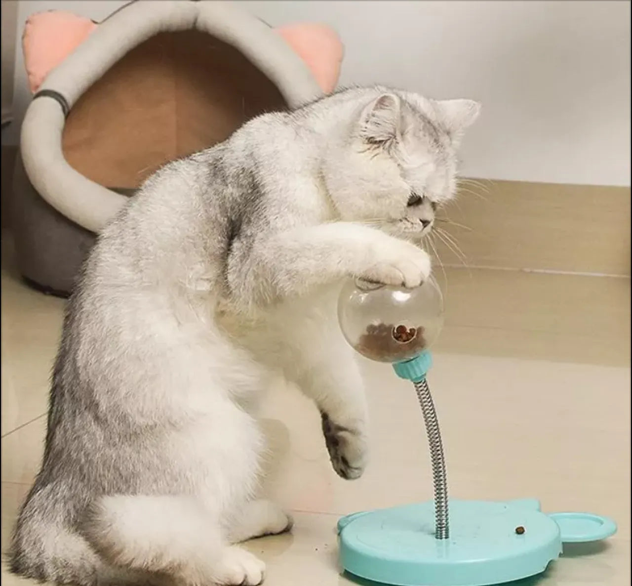 Spring Treat Dispenser Cat Toy with Catnip Balls – 2 Colors