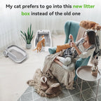 Smart Automatic Self-Cleaning Cat Litter Box with App Control