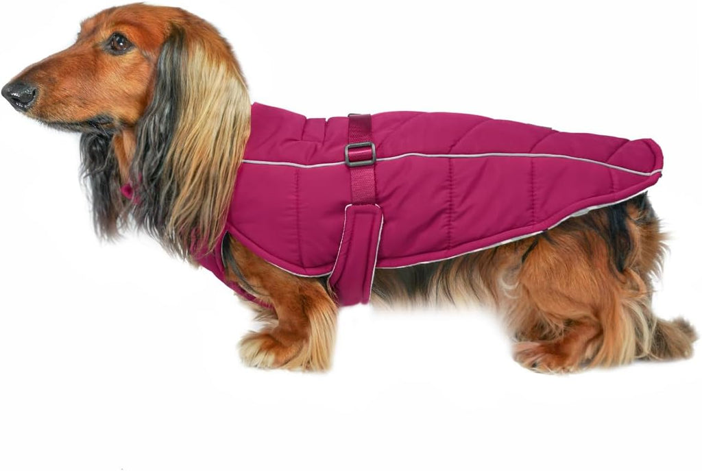 Adjustable Insulated Dog Coat – 3 Colors, 4 Sizes