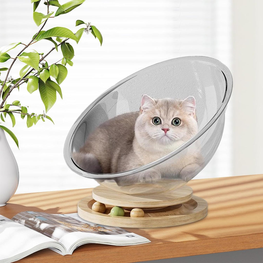 Transparent Space Capsule Cat Bed – 3 Sizes