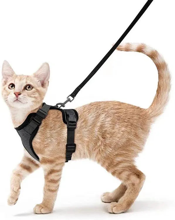 Adjustable Cat Harness Vest for Walking