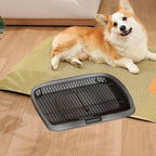 Raised-Grid Dog Potty Tray – 2 Colors, 2 Sizes