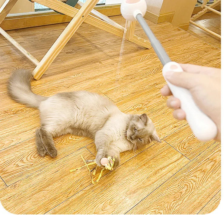 Retractable Cat Teaser Wand with 2 Attachments