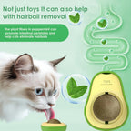 Wall-Mounted Catnip Ball Toys