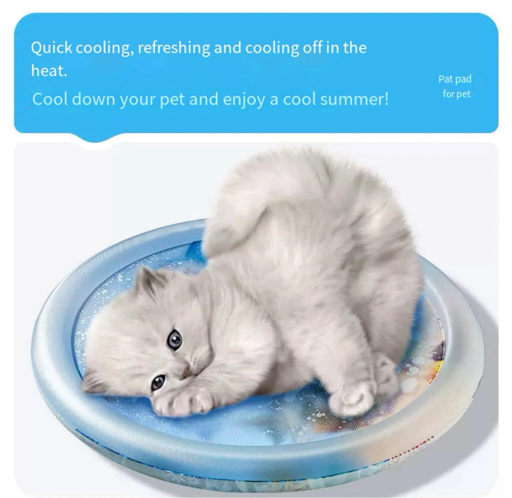 Water-Filled Sensory Play Mat for Cats – 26 to 42 in