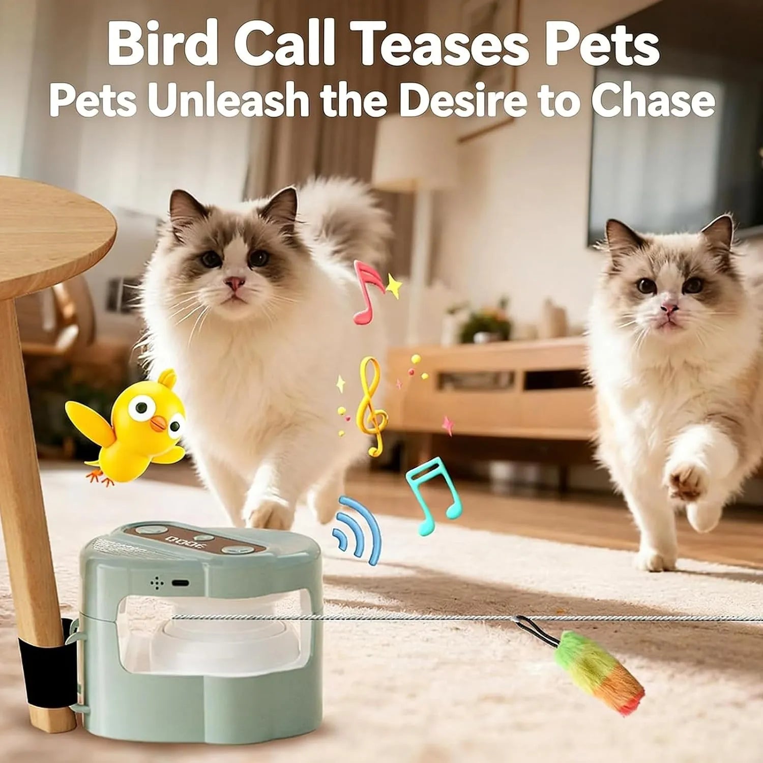 Remote Control Rope-Track Cat Teaser with Feather & Sound