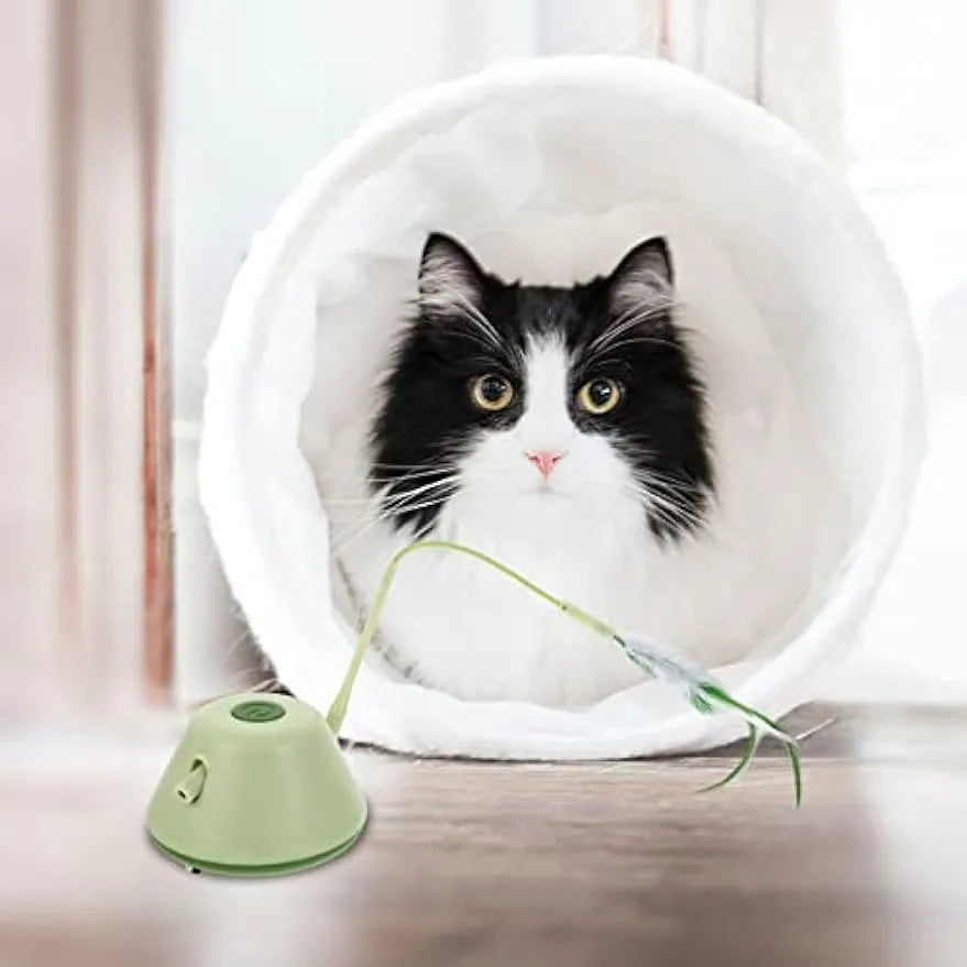 USB-Rechargeable Automatic Cat Teaser with Tail – 2 Colors