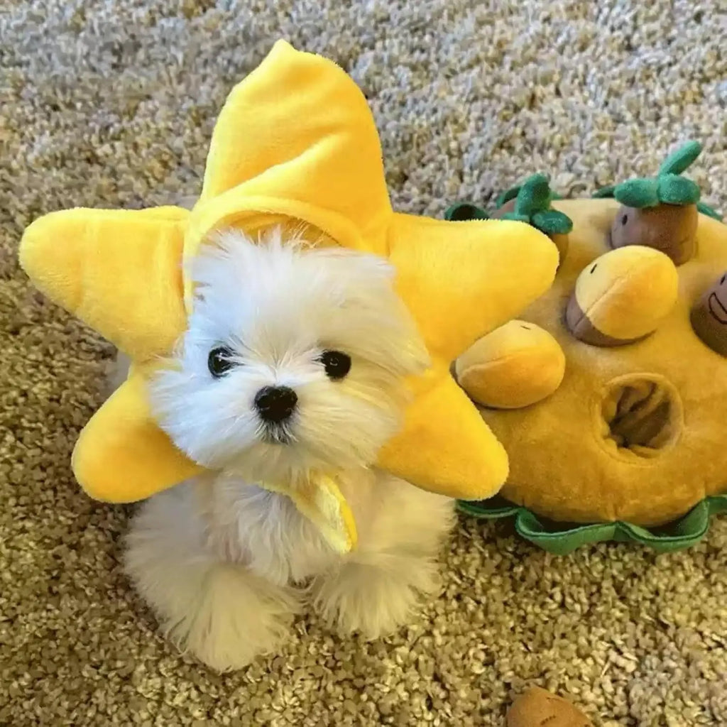 Plush Character Pet Hat – 13 Styles, Single or 3-Piece Set