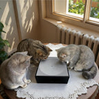 Automatic Water Droplet Cat Teaser – Rechargeable or Plug-In