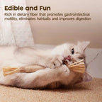Natural Silvervine Chew Sticks for Cats – 1, 4 or 10 Pack