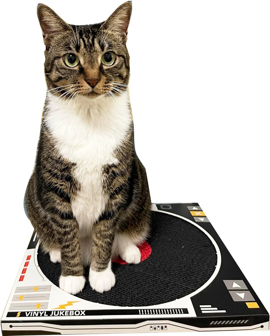 Record Player Cardboard Cat Scratcher with Play Ball – 2 Colors