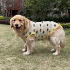 Lightweight Printed T-Shirt for Small Dogs – 10 Styles