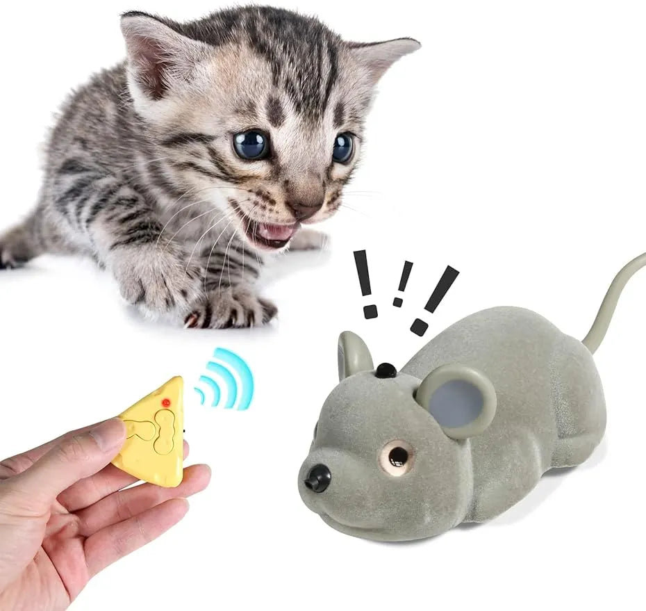 Remote-Control and Smart-Sensing Moving Pet Toys – 4 Designs