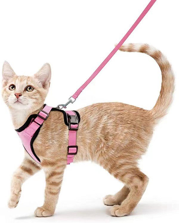 Adjustable Cat Harness Vest for Walking