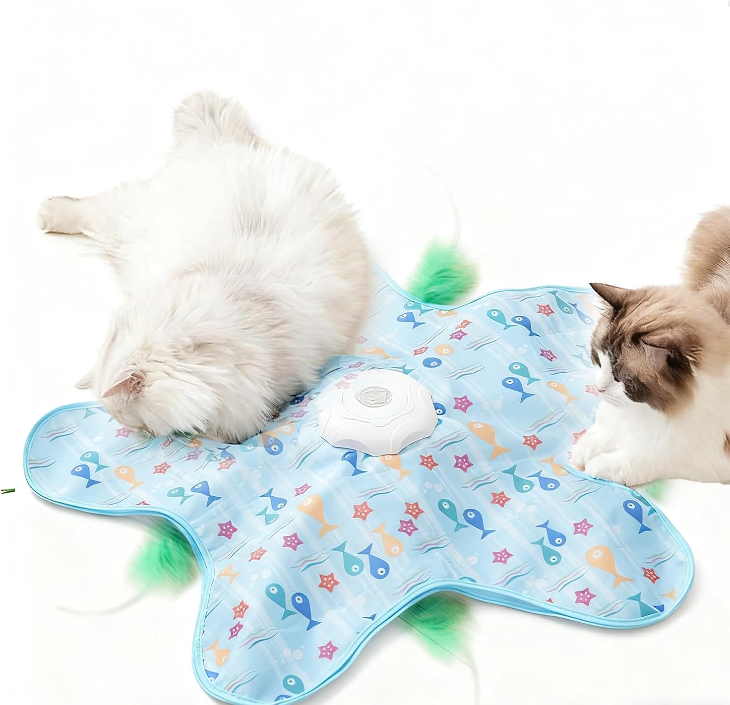 Automatic Concealed Feather Cat Toy Mat
