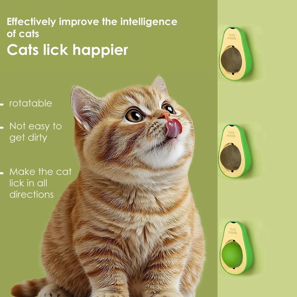 Wall-Mounted Catnip Ball Toys