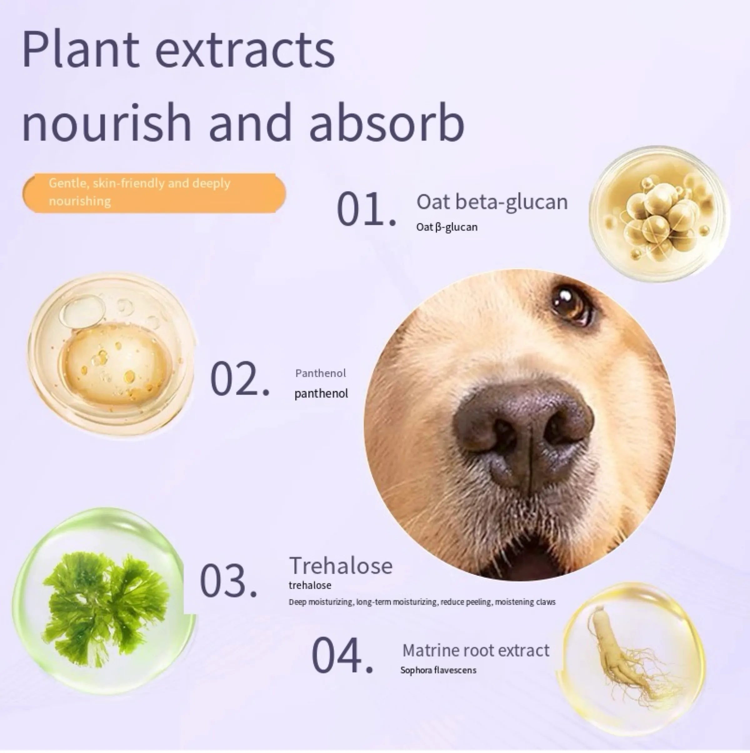 Avocado Pet Paw & Nose Moisturizing Balm Pen