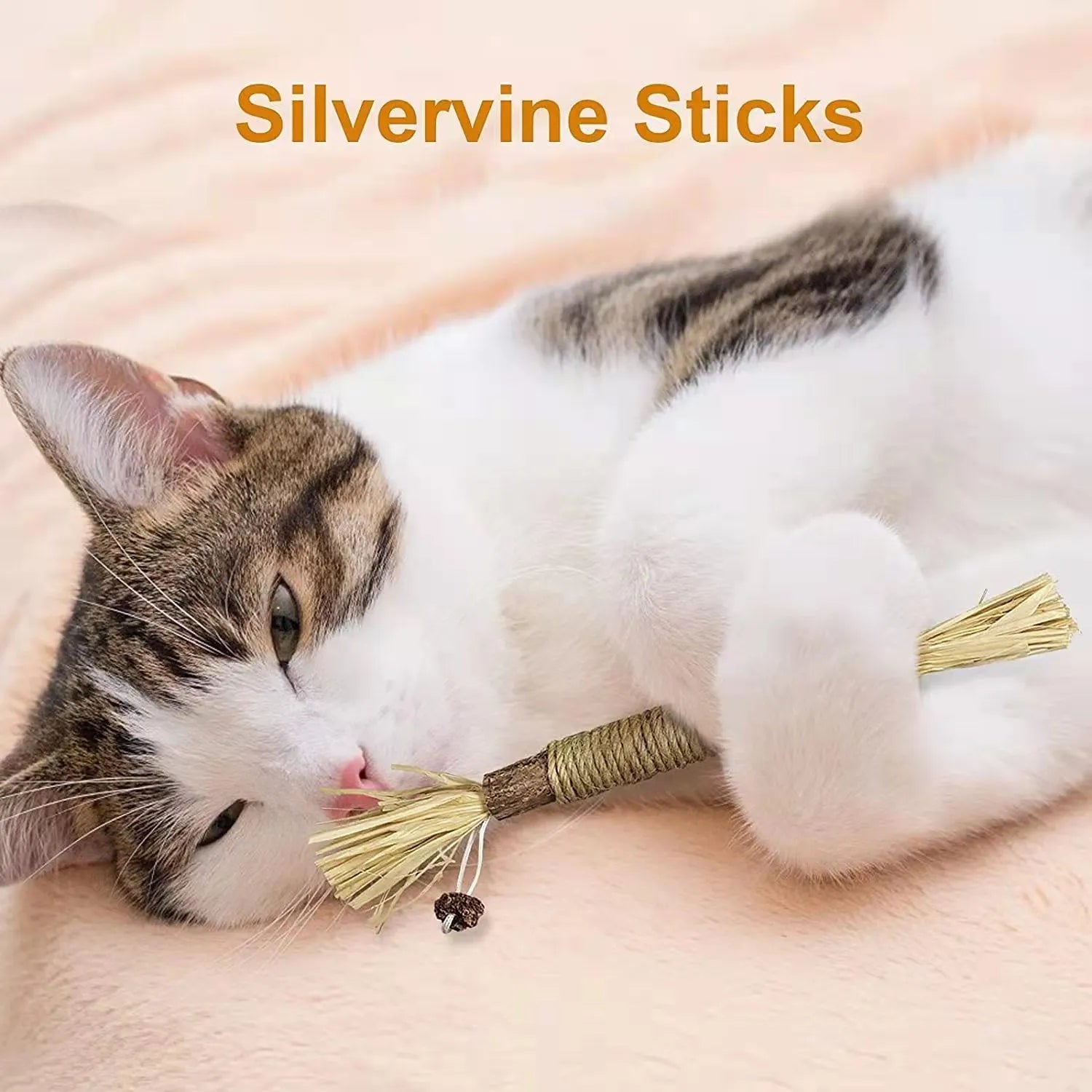 Natural Silvervine Chew Sticks for Cats – 1, 4 or 10 Pack