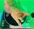 Record Player Cardboard Cat Scratcher with Play Ball – 2 Colors