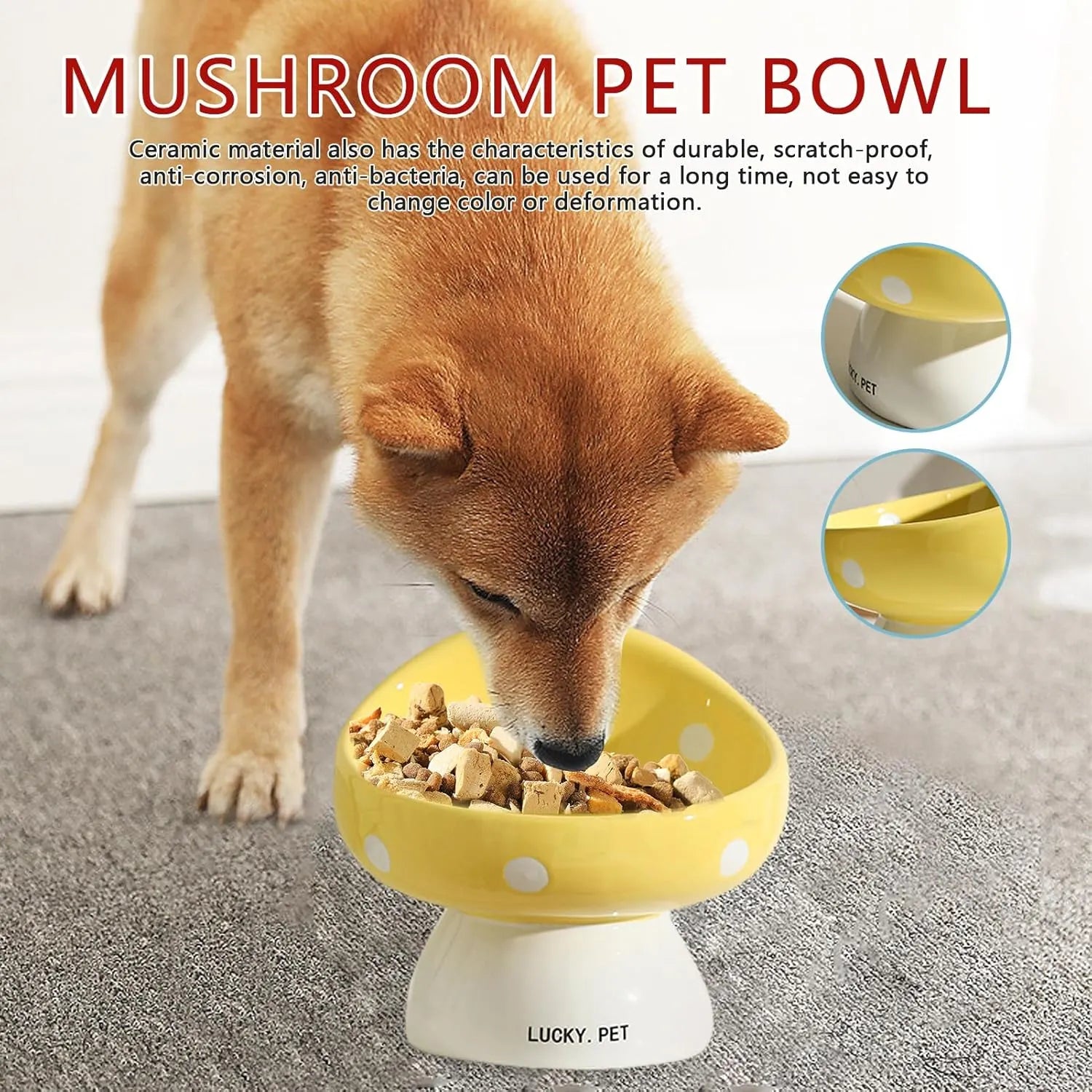 200ml Elevated Ceramic Cat Feeding Bowl