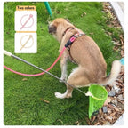 Long-Handle Dog Waste Catcher with Drawstring Bags