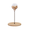 Spring-Mounted Interactive Cat Treat Dispenser Toy