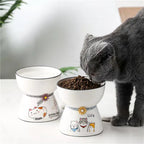 Raised Ceramic Cat Food & Water Bowls – Single or Set