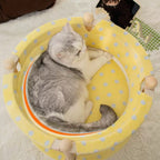 2-Layer Pine Wood Cat Hammock Bed with Washable Covers