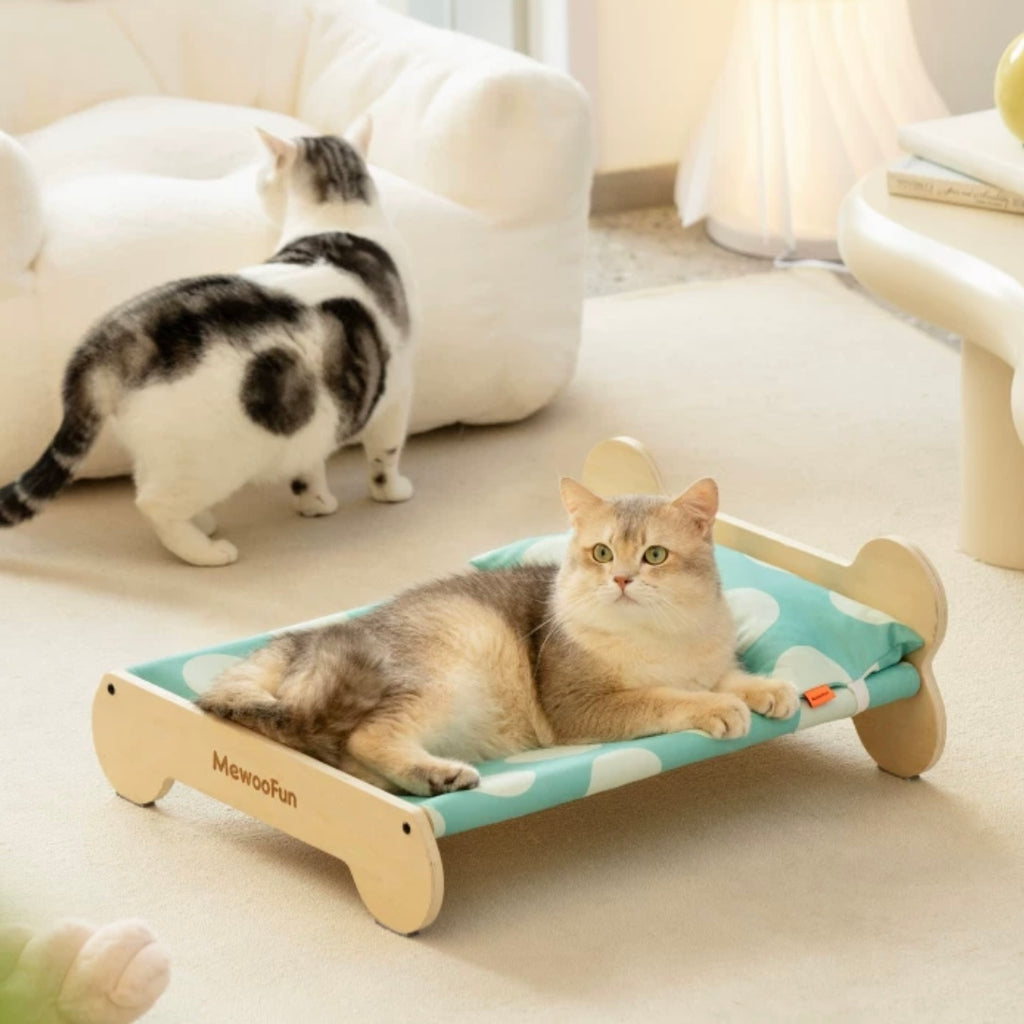 Indoor Cat Bed in Green or Pink