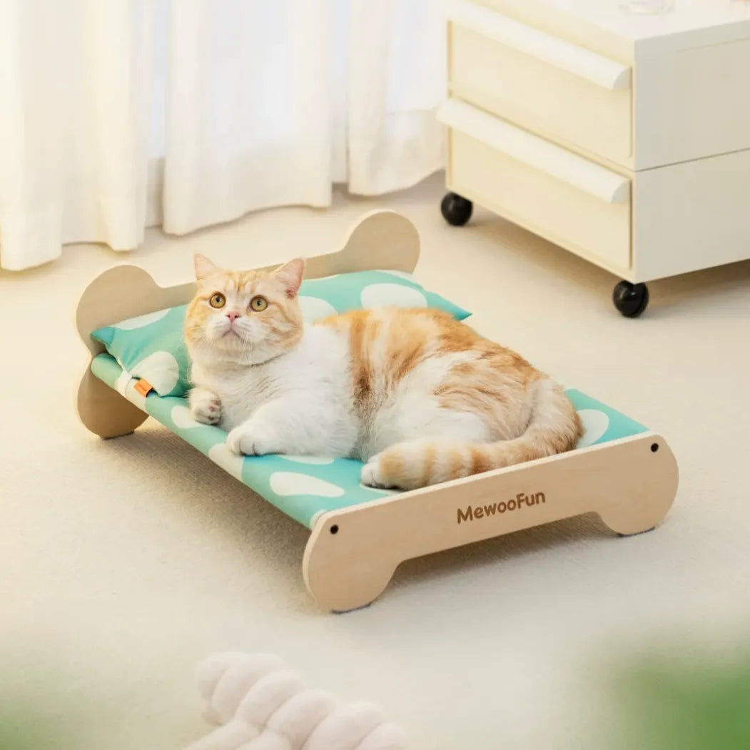 Indoor Cat Bed in Green or Pink
